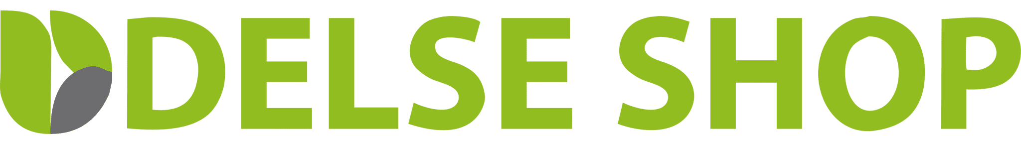 Delse Shop Logo